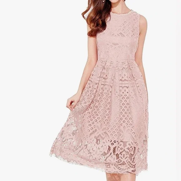 Womens Pink Lace Midi Dress. Size Large | Color: Pink | Size: L | Mgover1'S Closet